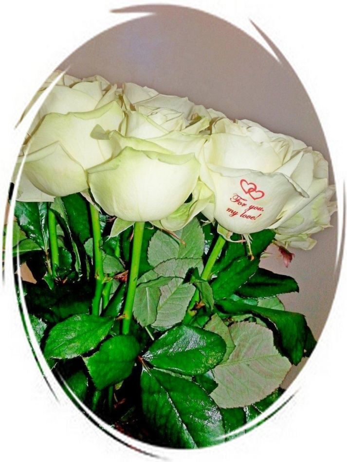 Сонник одна роза в подарок 173